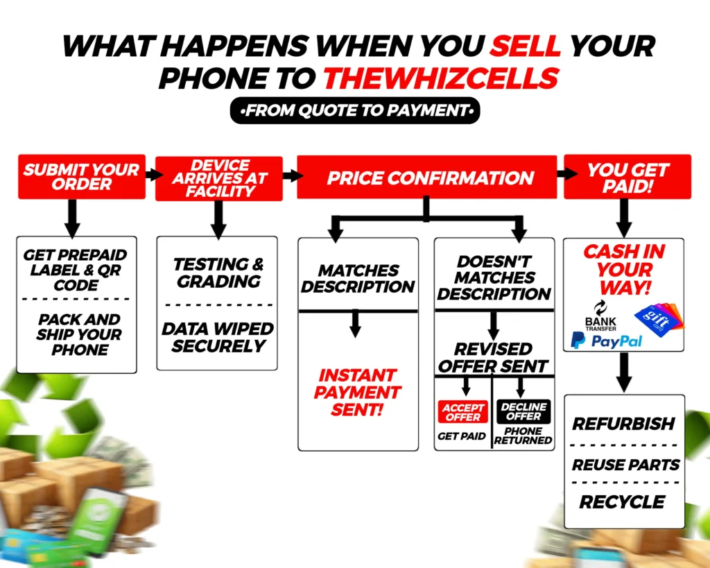 the whiz cells process flowchart